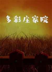 多彩庄家院第8集