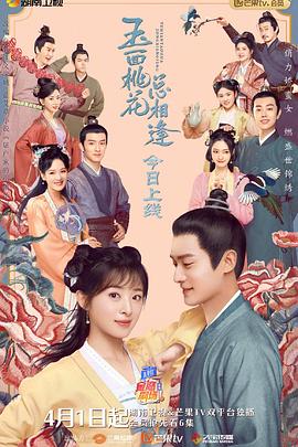 玉面桃花总相逢（卫视版）第33集