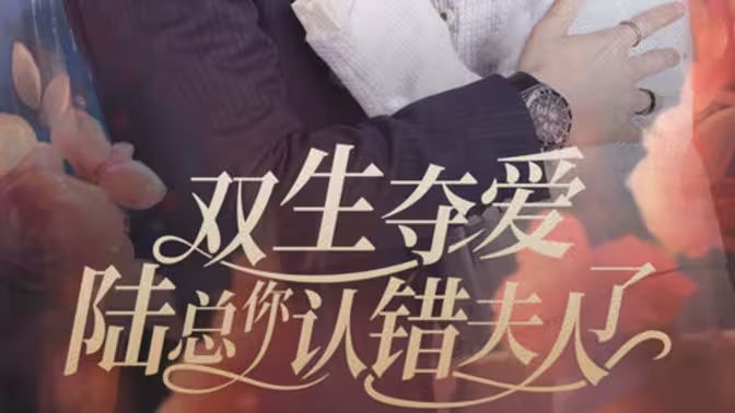 双生夺爱陆总你认错夫人了第41-60集