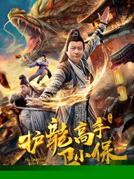 护龙高手卫小保