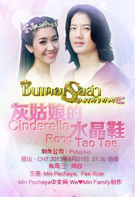 灰姑娘的水晶鞋第05集
