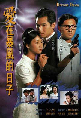 爱在暴风的日子粤语第12集