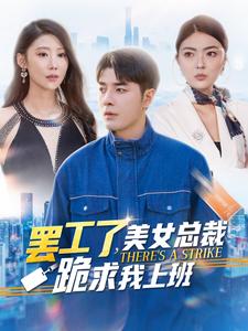 罢工了美女总裁跪求我上班第61-80集